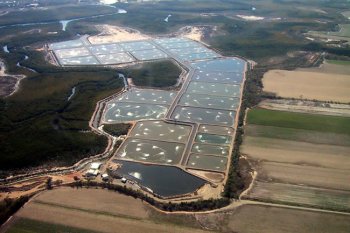 Prawn Farm