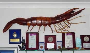 Award wall